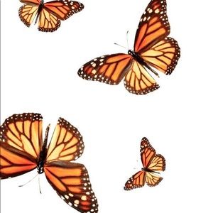 Meet your Posher, Peyton